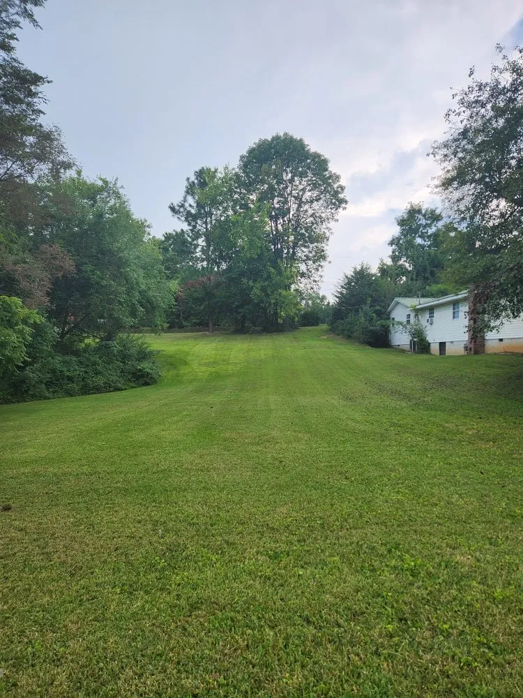 Reliable landscape design in Dayton, TN by Morgan Lawn Care