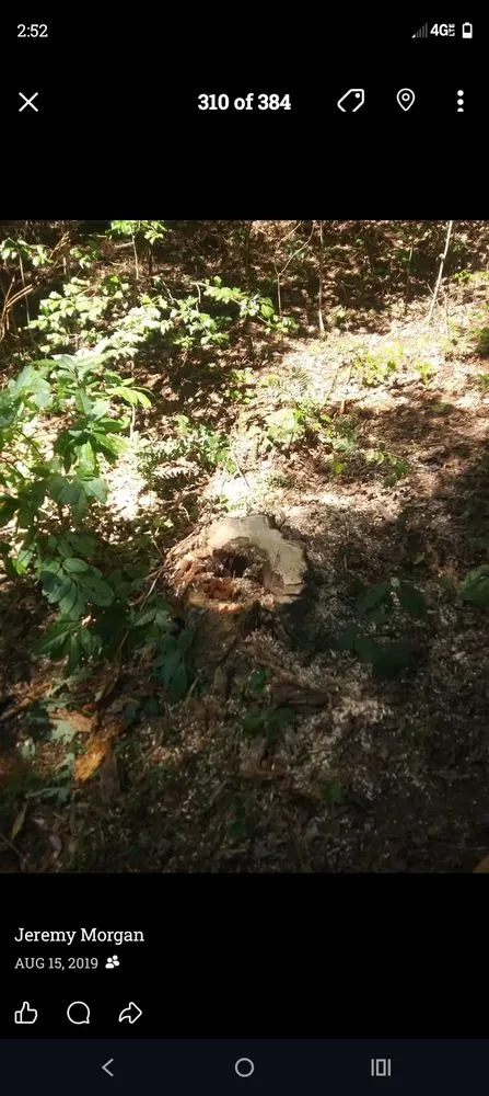 Local lawn care service for homes across Blue Ridge, GA - Morgan Outdoor Services