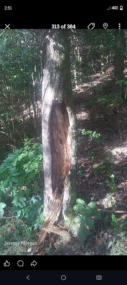 Trusted residential landscaping experts serving Blue Ridge, GA - Morgan Outdoor Services