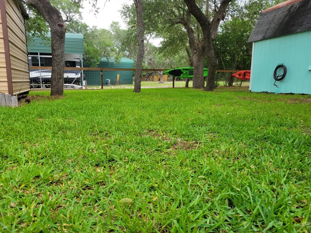 Professional yard cleanup service experts serving Live Oak, TX - Morgan Outdoor Services
