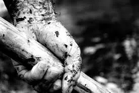 Trusted landscape installation in Sacramento, CA by Morgan Residential & Business Services