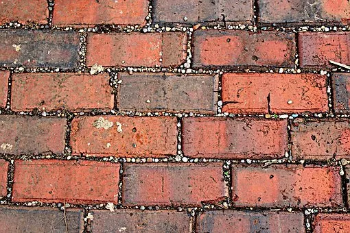 Local yard cleanup service in Chilmark, MA - Morgan Stone & Landscape