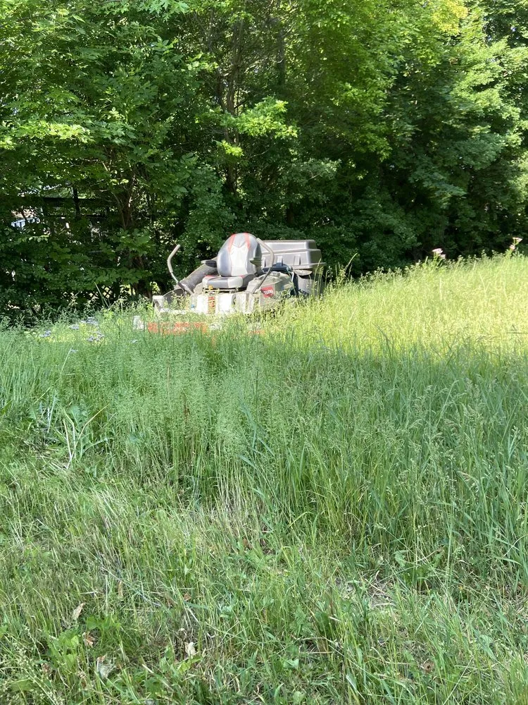 Top-rated landscaping services for beautiful yards across Milwaukee, WI - Morgandale Lawn Service