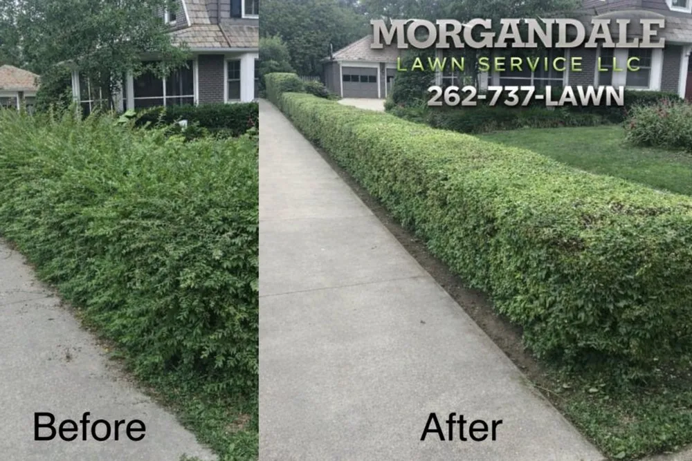 Expert yard cleanup service experts serving Milwaukee, WI - Morgandale Lawn Service