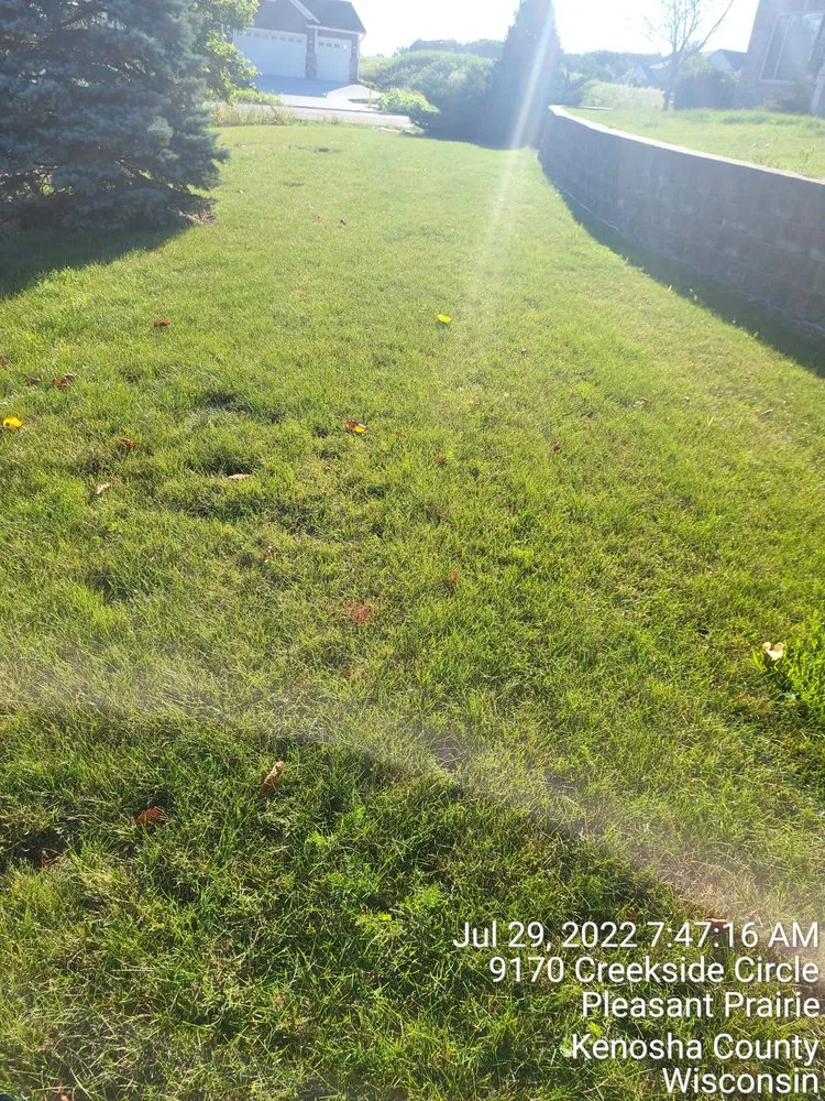 Top-rated landscape design for year-round maintenance across Milwaukee, WI - Morgandale Lawn Service