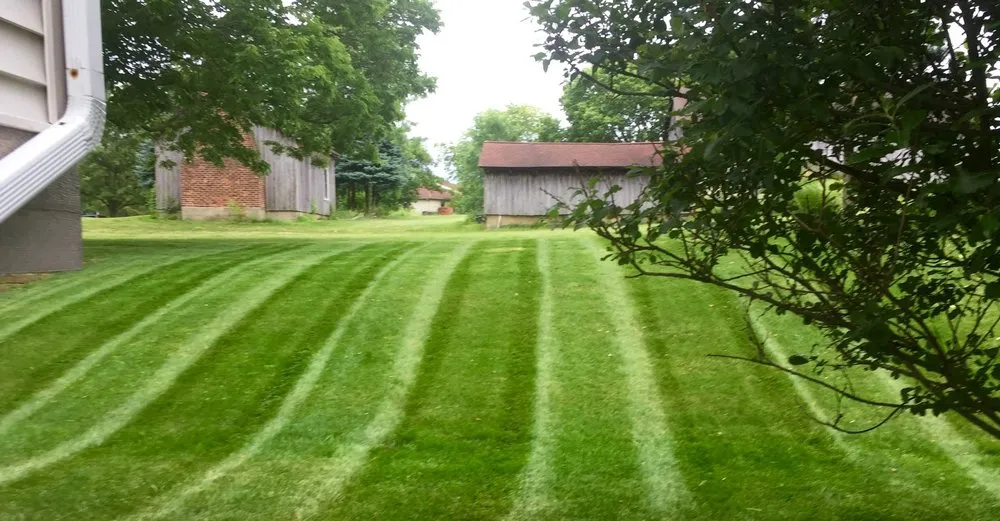 Custom lawn care service for residential properties in Milwaukee, WI by Morgandale Lawn Service