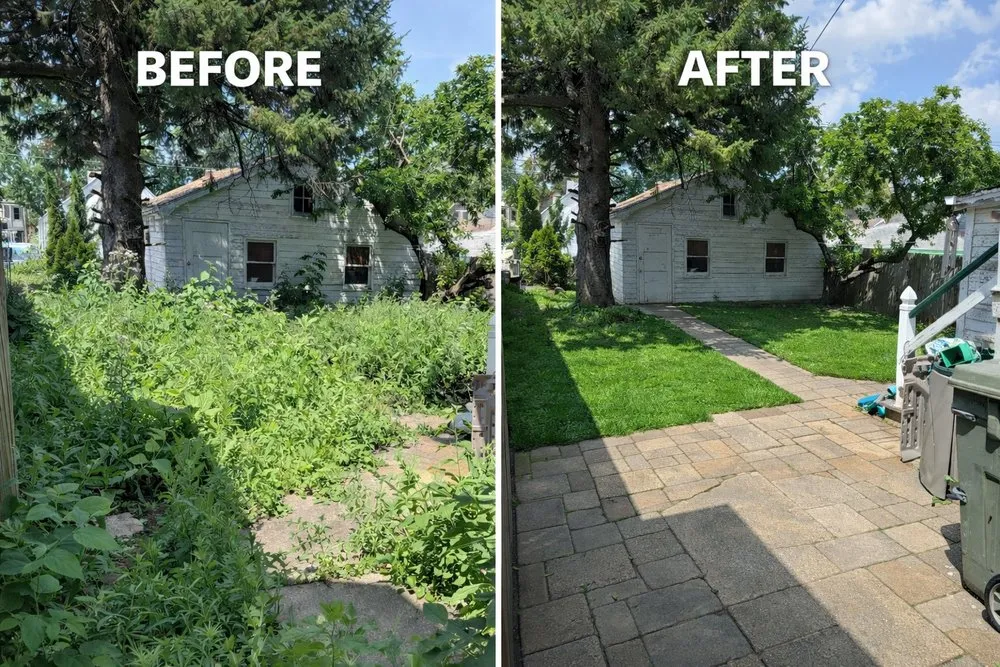 Top-rated lawn care service in Milwaukee, WI - Morgandale Lawn Service