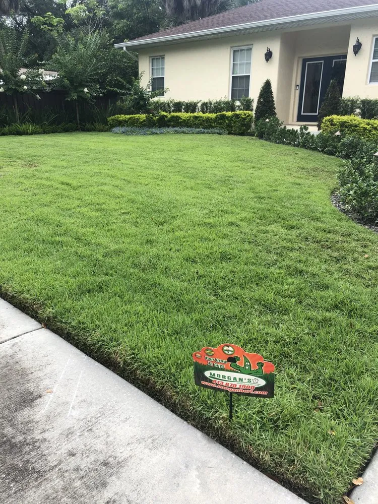 Reliable yard cleanup service in Tampa, FL - Morgan's Horticultural Services