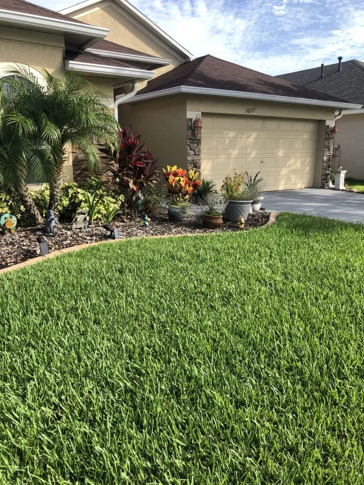 Reliable lawn mowing service in Tampa, FL - Morgan's Horticultural Services
