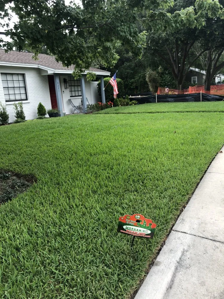 Local outdoor landscaping experts serving Tampa, FL - Morgan's Horticultural Services