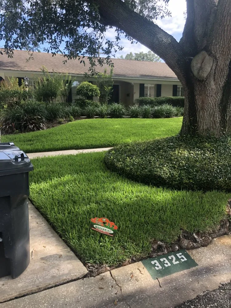 Reliable yard cleanup service experts serving Tampa, FL - Morgan's Horticultural Services