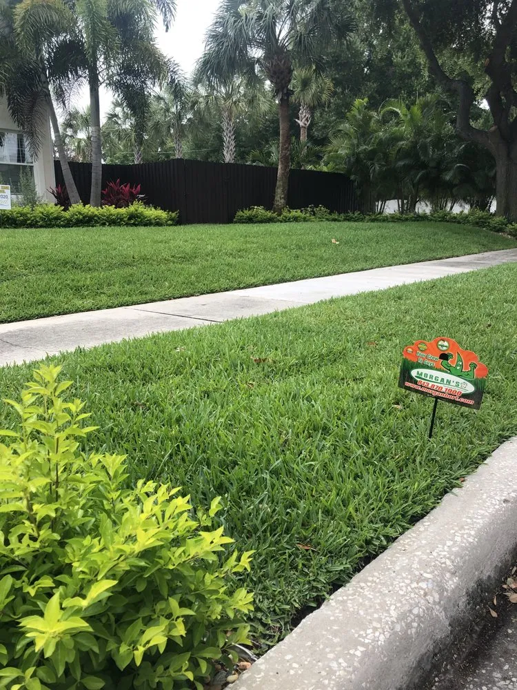 Professional outdoor landscaping in Tampa, FL by Morgan's Horticultural Services