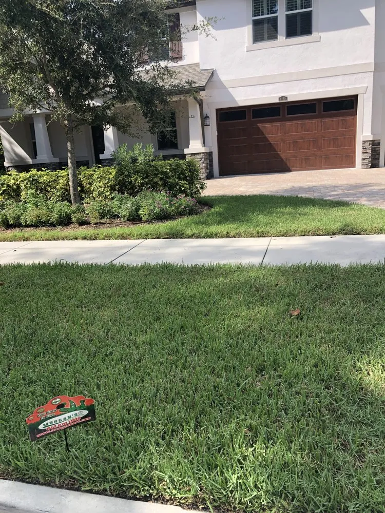 Trusted outdoor landscaping in Tampa, FL by Morgan's Horticultural Services