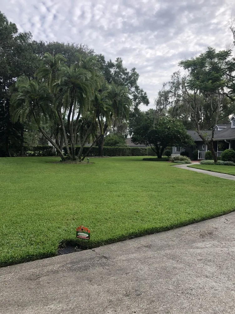 Expert landscape installation experts serving Tampa, FL - Morgan's Horticultural Services