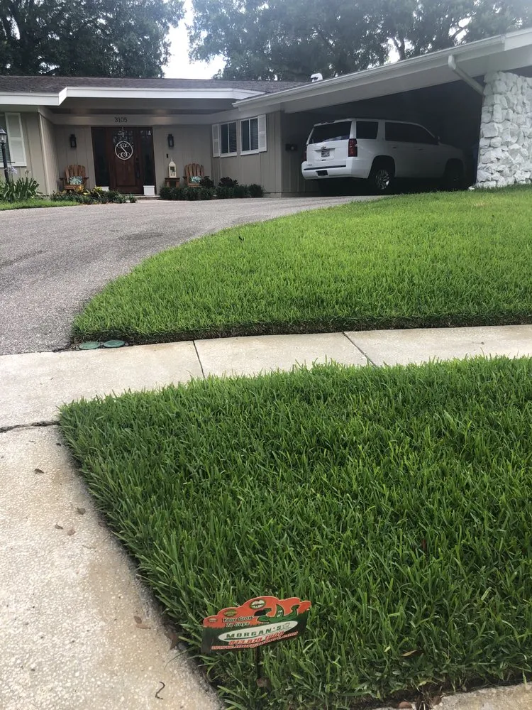 Top-rated garden landscaping in Tampa, FL - Morgan's Horticultural Services