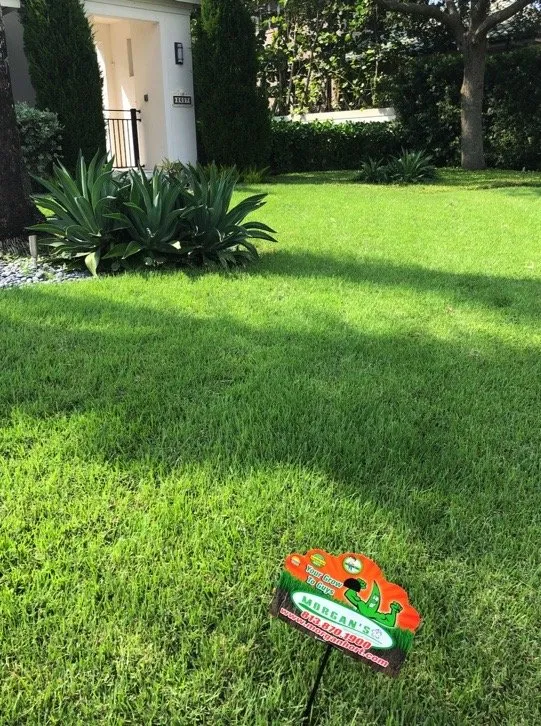 Custom landscape design experts serving Tampa, FL - Morgan's Horticultural Services