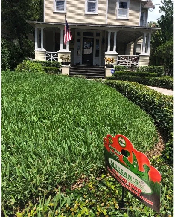Trusted lawn care service in Tampa, FL by Morgan's Horticultural Services
