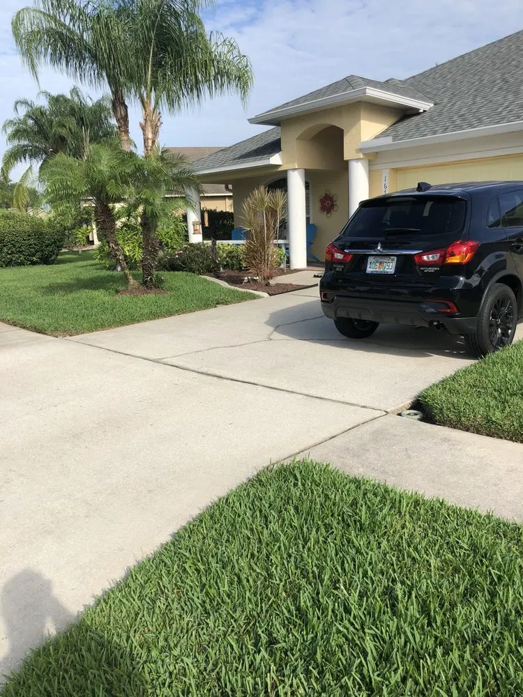 Expert lawn care service experts serving Tampa, FL - Morgan's Horticultural Services