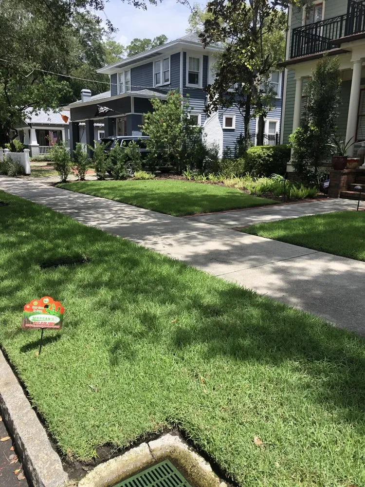 Reliable yard cleanup service in Tampa, FL by Morgan's Horticultural Services