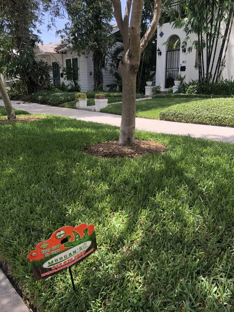 Local yard maintenance for residential properties across Tampa, FL - Morgan's Horticultural Services