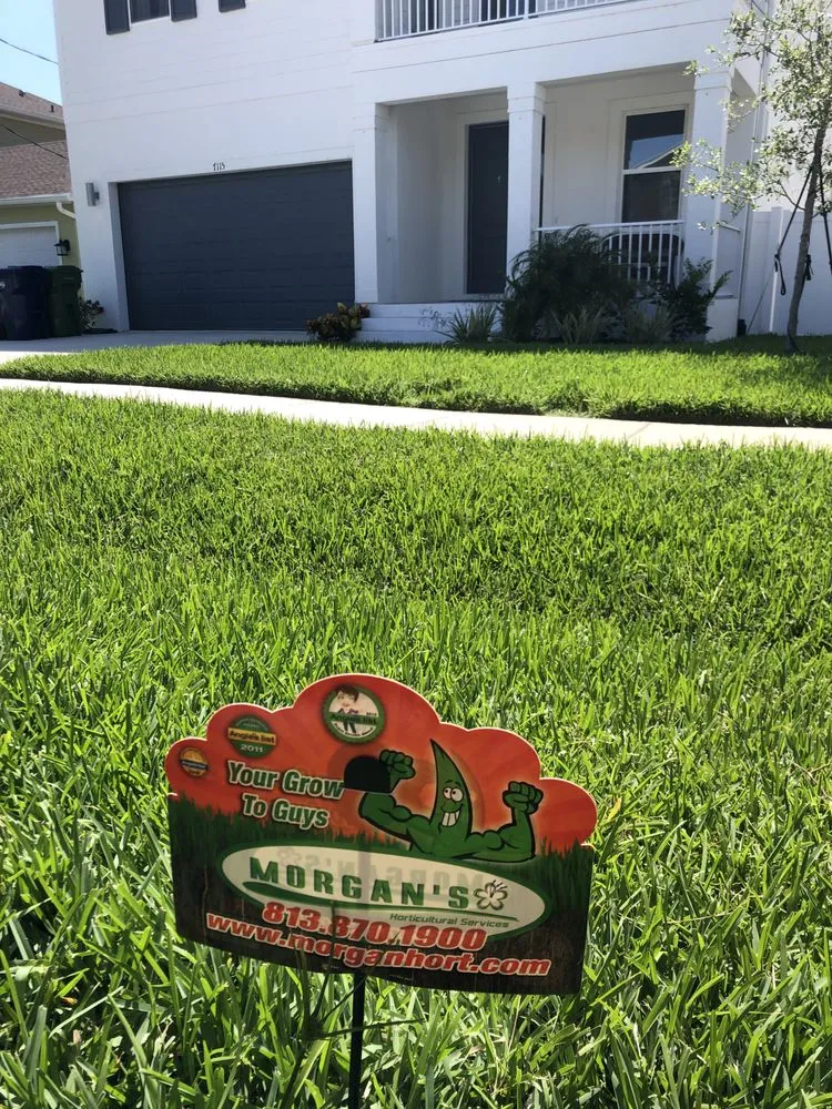 Local yard cleanup service in Tampa, FL by Morgan's Horticultural Services