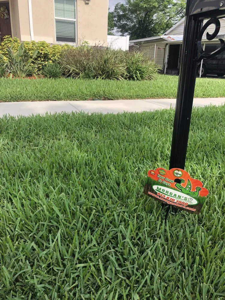 Custom landscaping services with custom design in Tampa, FL by Morgan's Horticultural Services