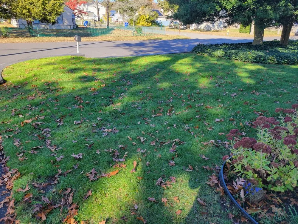 Local yard cleanup service experts serving Beachwood, NJ - Morgans Irrigation