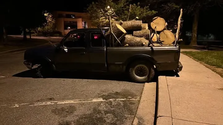 Reliable residential landscaping for outdoor upgrades across Keyser, WV - Morgans Lands and Trees