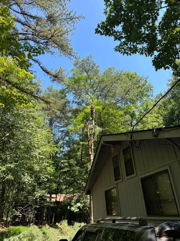 Local garden landscaping for outdoor upgrades in Keyser, WV by Morgans Lands and Trees