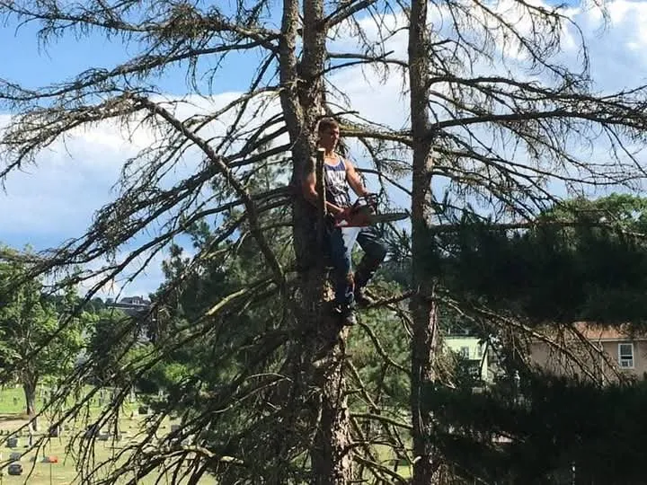 Trusted landscape design for outdoor upgrades in Keyser, WV by Morgans Lands and Trees