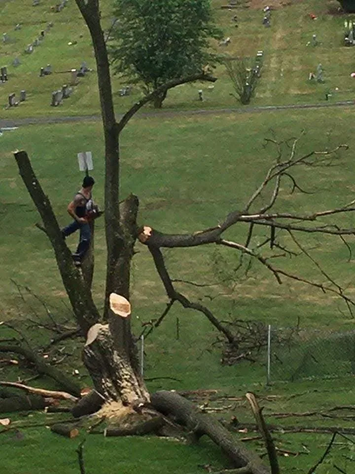 Reliable outdoor landscaping in Keyser, WV - Morgans Lands and Trees