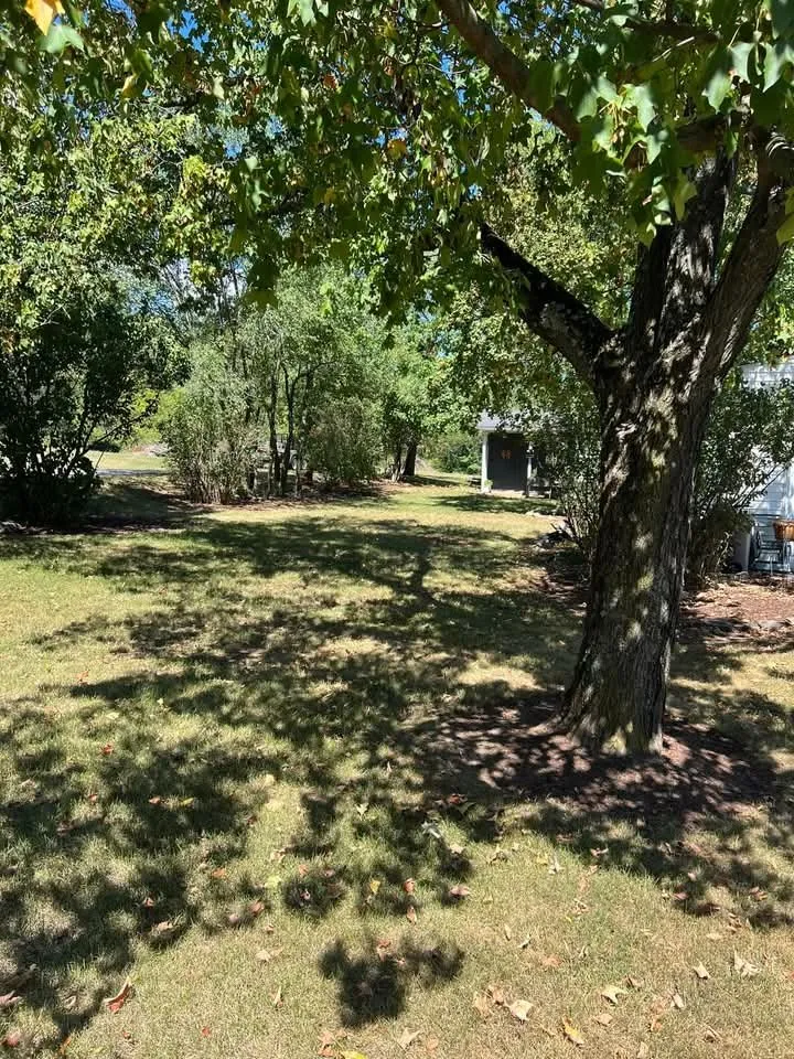 Top-rated lawn care service for homes in Keyser, WV by Morgans Lands and Trees