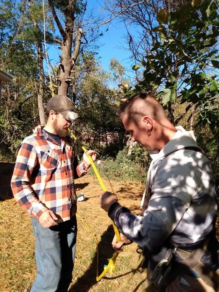 Affordable lawn mowing service near you across Keyser, WV - Morgans Lands and Trees