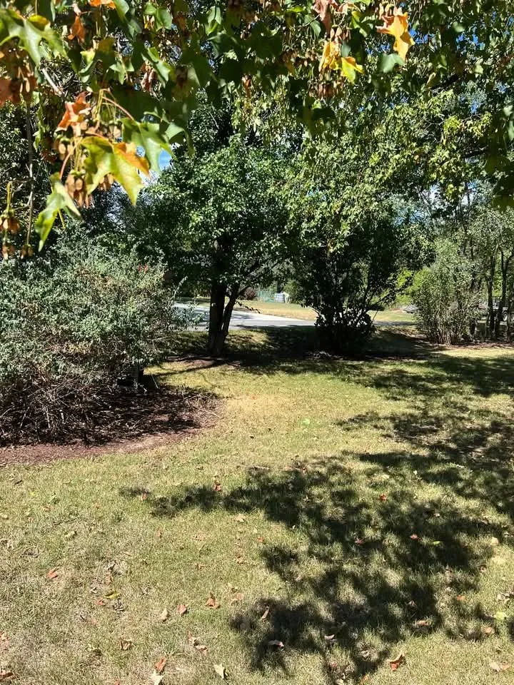 Affordable landscape design for homes across Keyser, WV - Morgans Lands and Trees