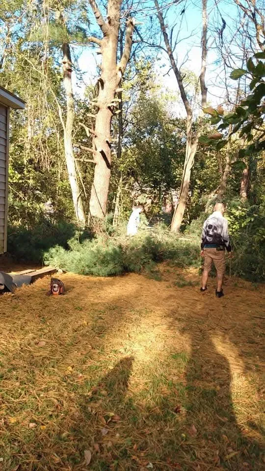 Custom yard cleanup service experts serving Keyser, WV - Morgans Lands and Trees