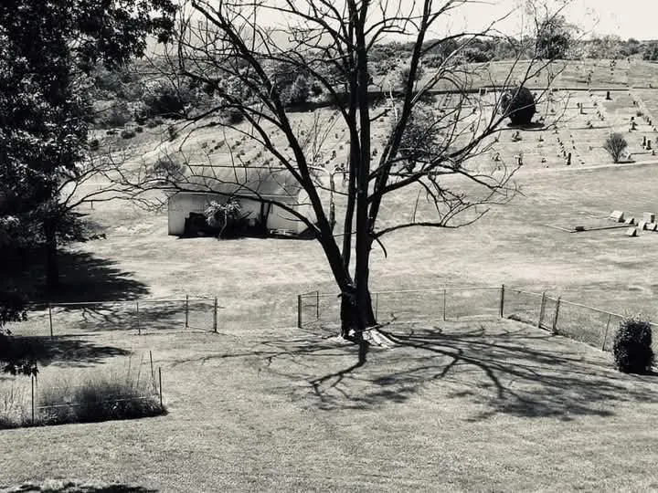 Top-rated landscaping services experts serving Keyser, WV - Morgans Lands and Trees