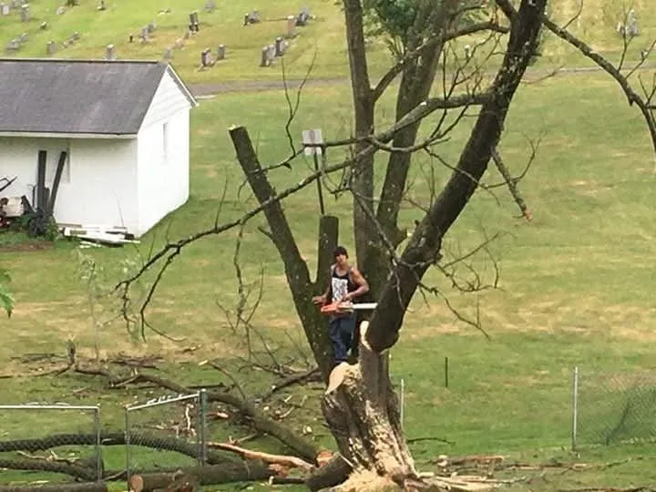 Expert lawn care service in Keyser, WV - Morgans Lands and Trees