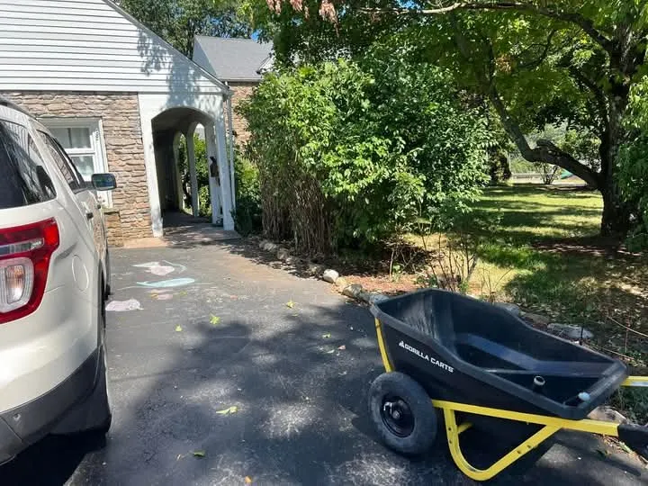 Professional lawn mowing service experts serving Keyser, WV - Morgans Lands and Trees