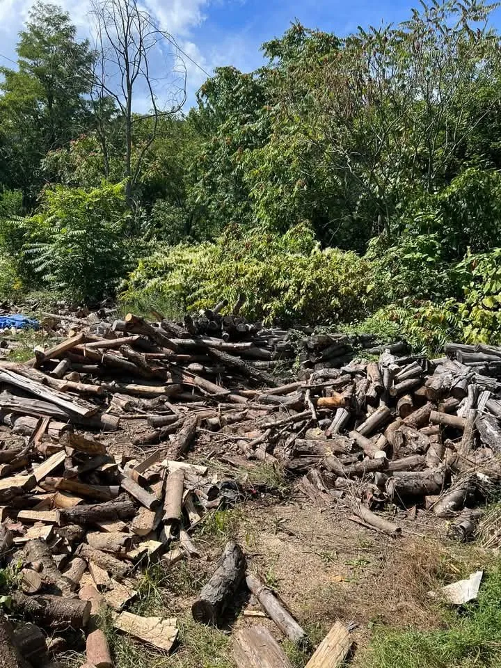 Trusted lawn mowing service for beautiful yards across Keyser, WV - Morgans Lands and Trees