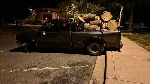 Morgans Lands and Trees