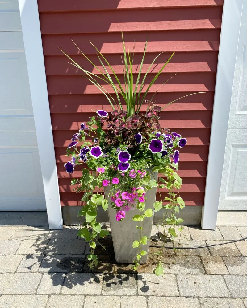 Affordable lawn care service near you in South Glastonbury, CT by Morgan’s Landscaping