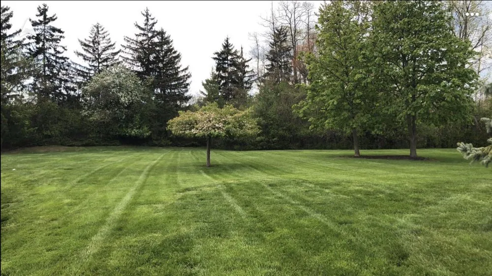 Affordable yard maintenance in Royal Oak, MI by Morgan’s Lawn & Landscape