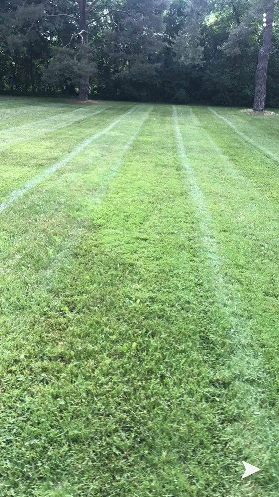 Professional lawn mowing service experts serving Royal Oak, MI - Morgan’s Lawn & Landscape