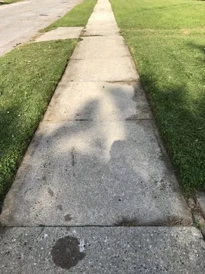 Morgan’s Lawn & Landscape Logo