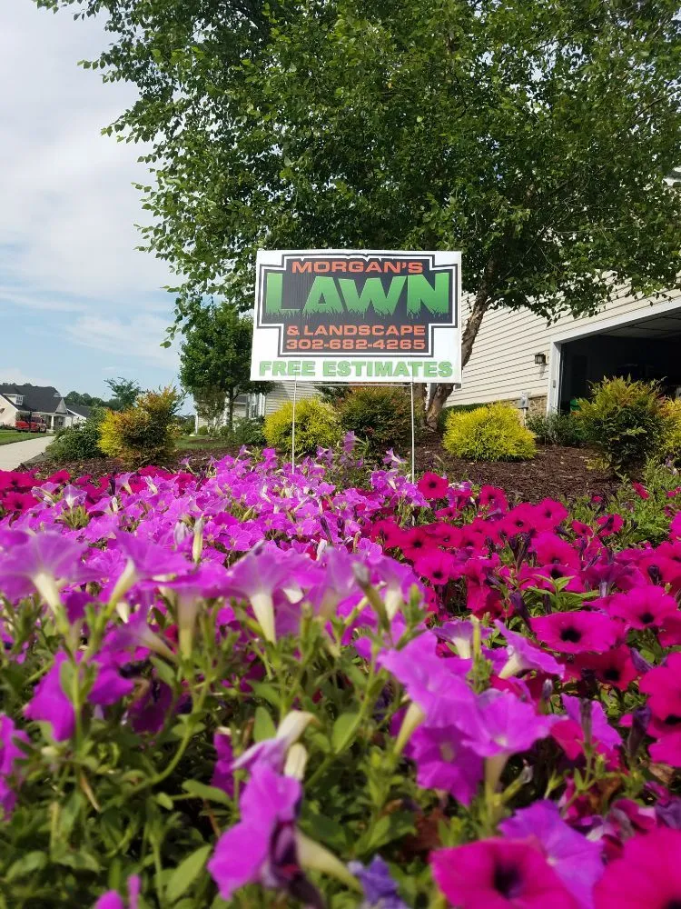 Expert residential landscaping experts serving Seaford, DE - Morgan's Lawn & Landscape