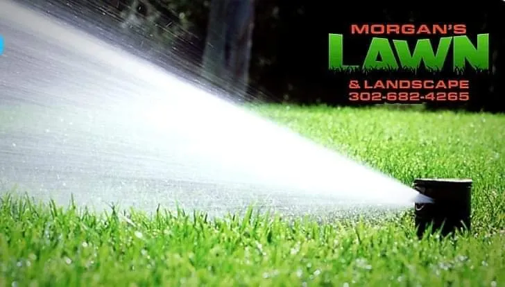 Custom yard maintenance experts serving Seaford, DE - Morgan's Lawn & Landscape