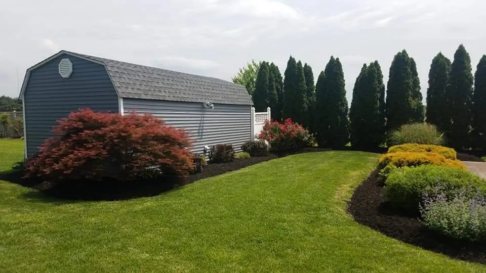 Trusted lawn care service near you in Seaford, DE by Morgan's Lawn & Landscape