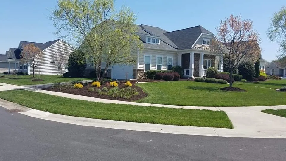 Expert outdoor landscaping for beautiful yards across Seaford, DE - Morgan's Lawn & Landscape