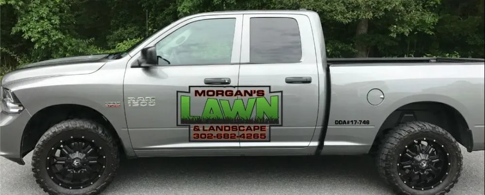 Reliable lawn care service for year-round maintenance across Seaford, DE - Morgan's Lawn & Landscape