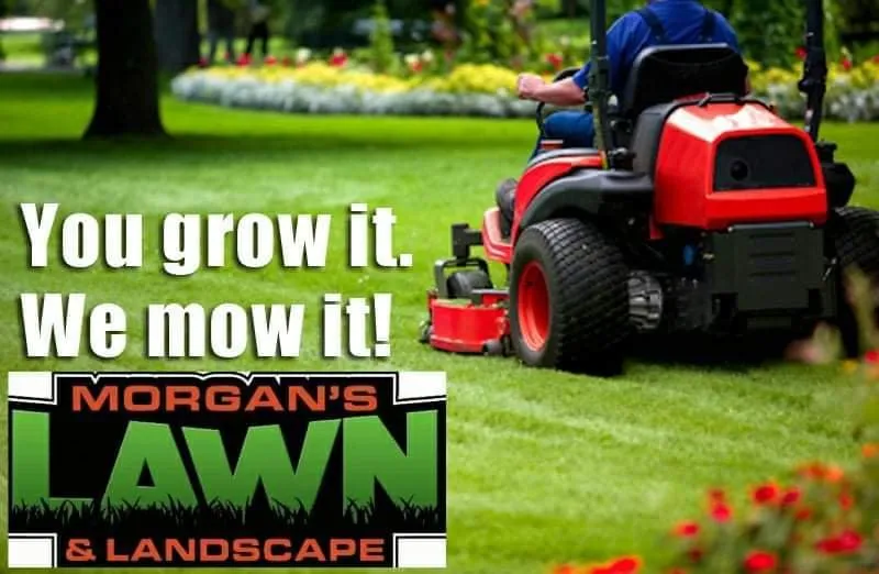 Professional yard cleanup service with custom design in Seaford, DE by Morgan's Lawn & Landscape